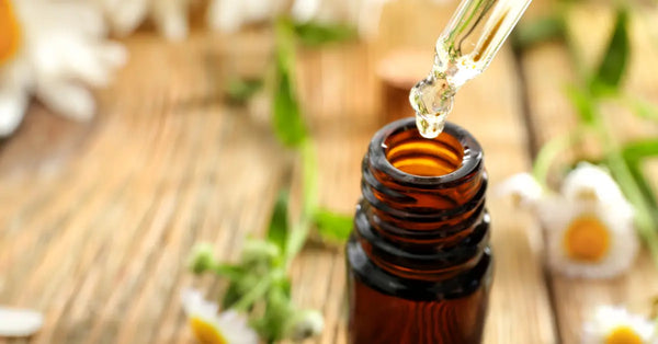 CBD Oils & Endocannabinoid System Balance