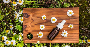 CBD Lotions vs. CBD Oils: Choosing the Right Topical