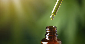 CBD oil dripping from a glass dropper into an amber tincture bottle against a soft green natural background.