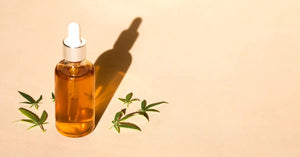 Hemp CBD oil in a clear dropper bottle on a warm beige surface surrounded by fresh cannabis leaves in sunlight.