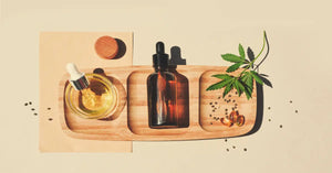 Understanding Cannabinoids: The Difference Between CBD, CBG, and THC