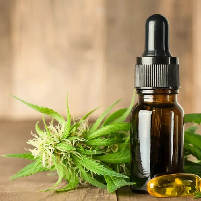 Hemp Oil vs CBD Oil