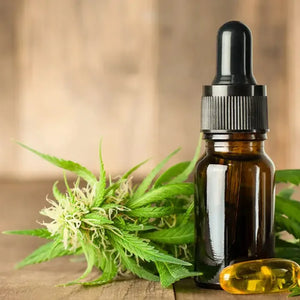 Hemp Oil vs CBD Oil