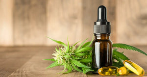 The Science Behind Transdermal CBD Absorption