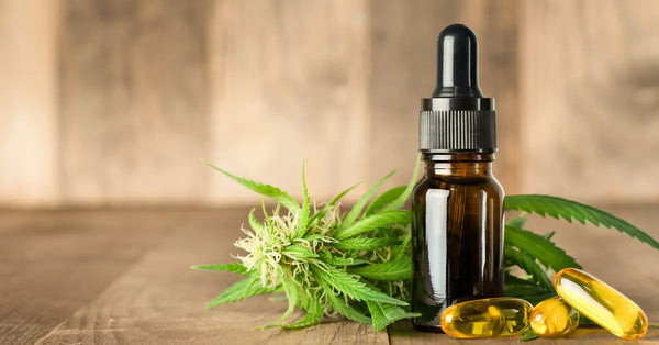 The Science Behind Transdermal CBD Absorption