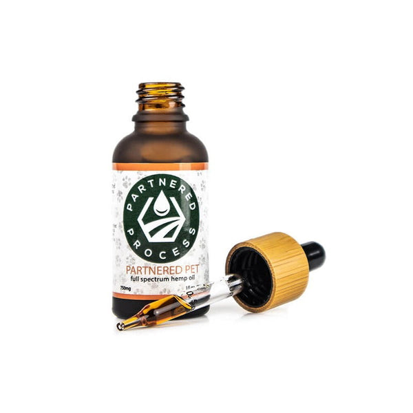 Open Partnered Process Partnered Pet full spectrum hemp oil bottle with bamboo dropper showing golden hemp extract.