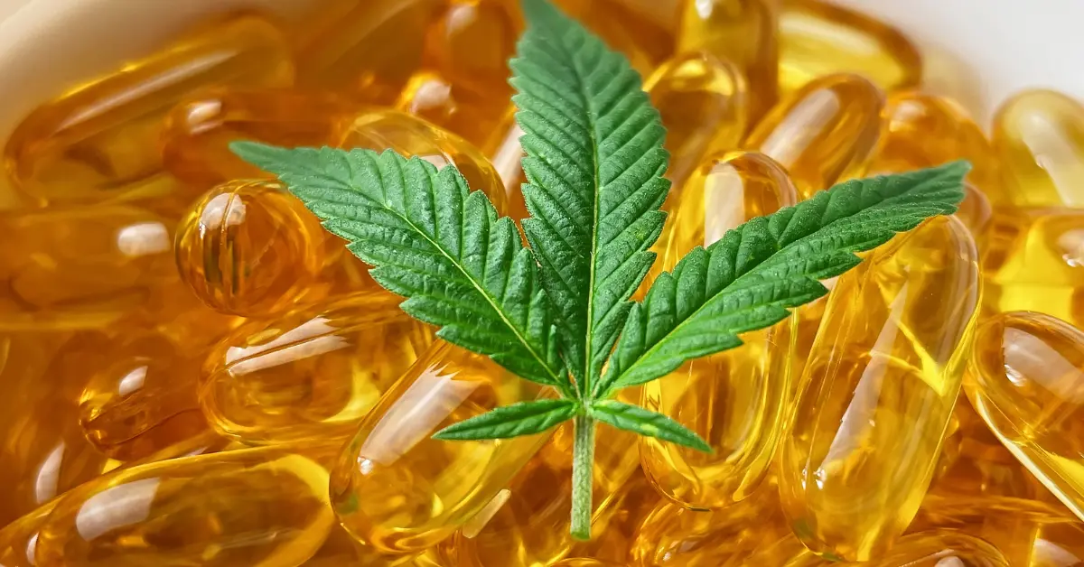 Beginner’s Guide to CBD Softgels: What to Know Before You Start
