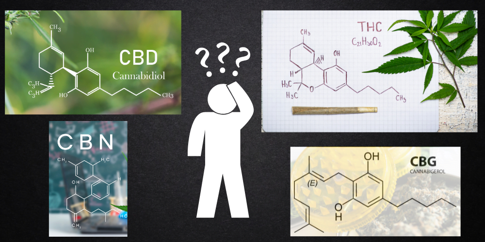 Explaining cannabinoids: CBD CBG CBG vs THC