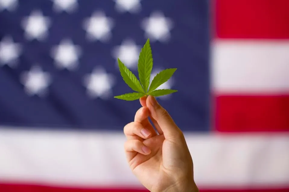Hemp, Early America, and our Founders