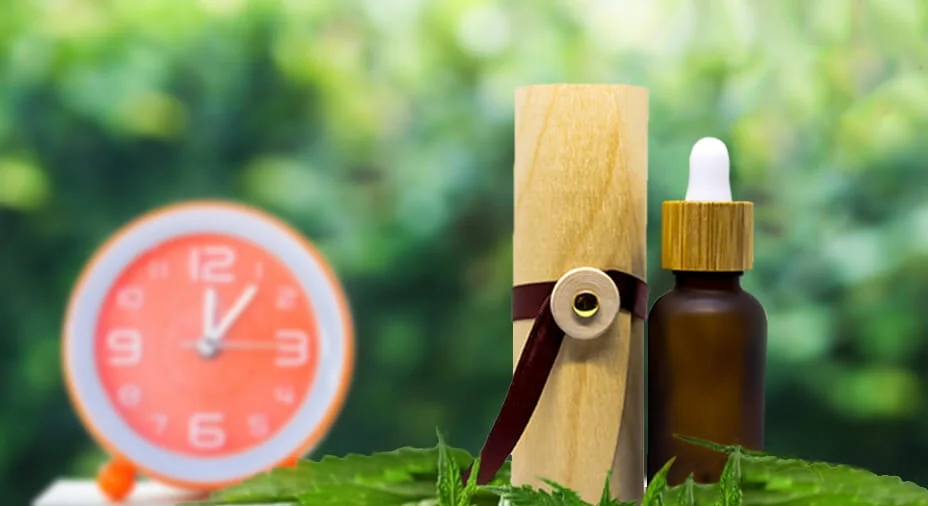 how long does cbd take to work? Clock and CBD bottle against a nature background