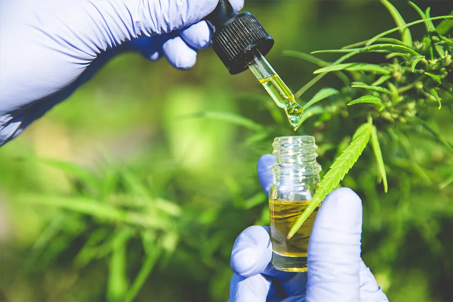 How will I know if my CBD oil is organic?